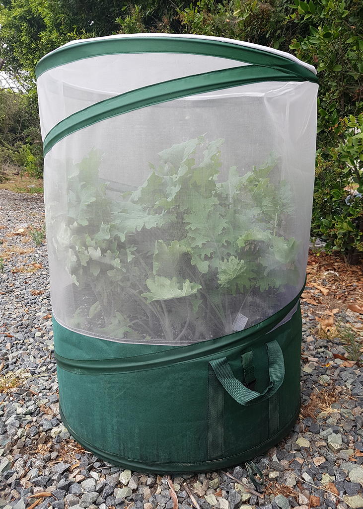vegebag in garden