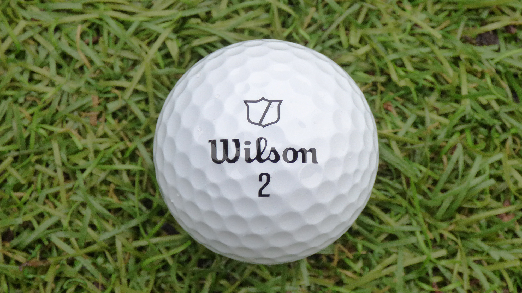 2025 Wilson Triad Golf Ball