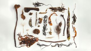 Natural items found washed up on a beach, such as seaweed and driftwood, shot as a flat lay on a white surface