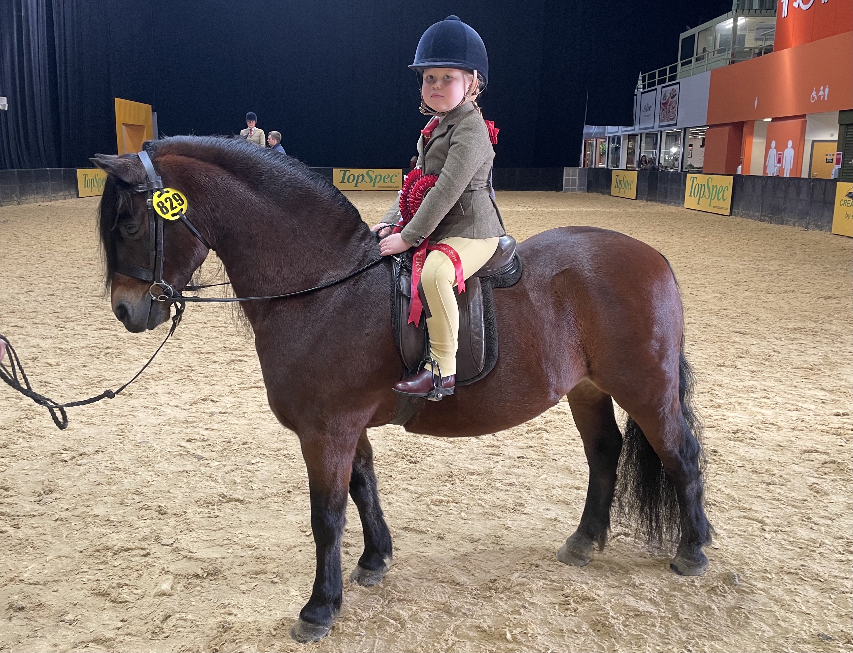 Willow West and Shilstone Rocks Thunderbird won the M&amp;amp;M Mini Pony of the Year championship at the HOYS 2021