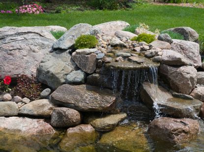 A Microclimate Rock Pond