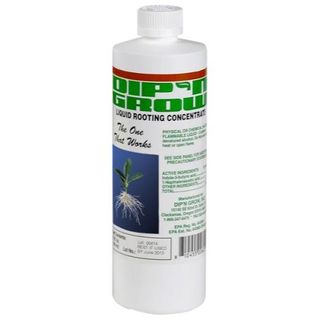 Dip'n Grow Dg01601 Rooting Solution, Concentrate