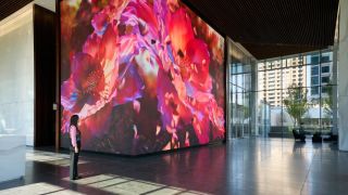 The massive LED video wall with red flowers at 23Springs. 