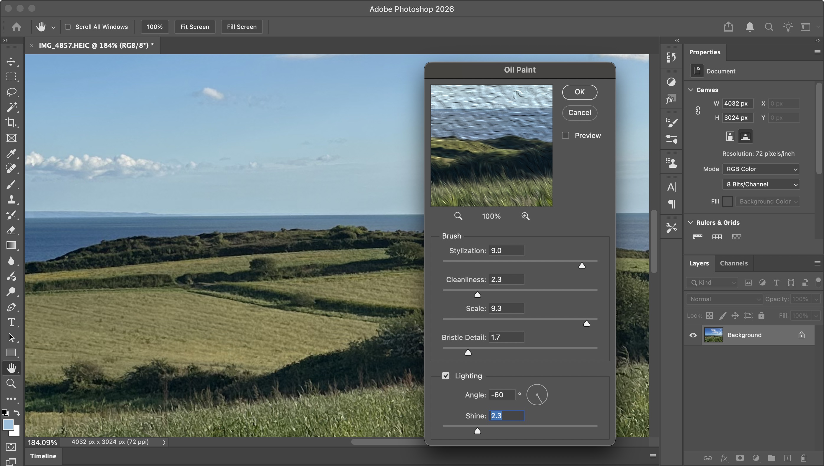 Using various Adobe tools and software to turn photos into cartoons