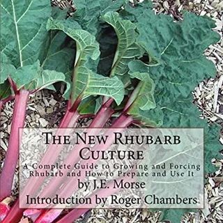 The New Rhubarb Culture