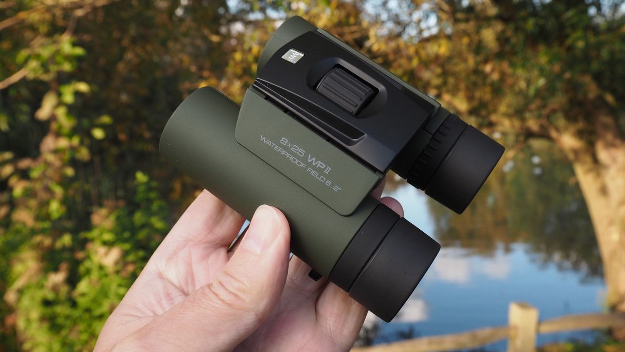 Olympus 8x25 WP II in the hand