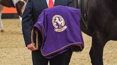 HOYS tickets Anyone competing at Horse of the Year Show wants to take home a HOYS winners&rsquo; rug