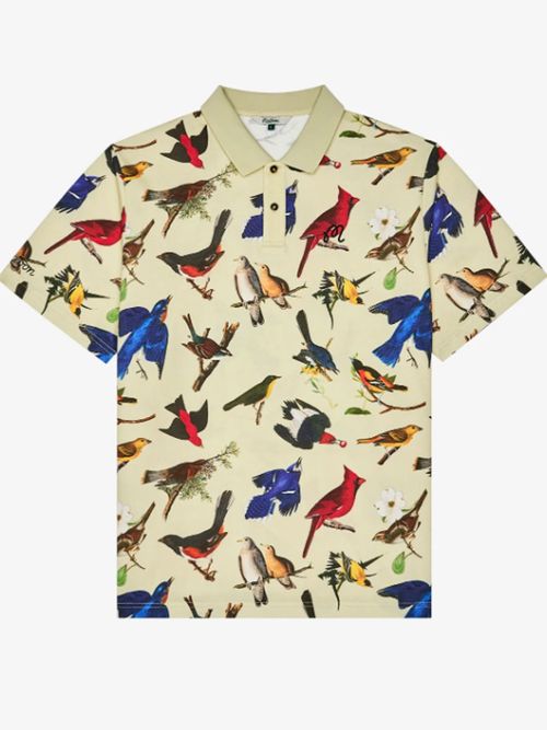 Birds of Georgia Collection