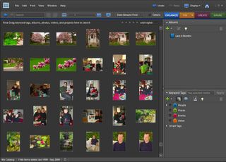 The Photoshop Elements 8 Organizer Interface