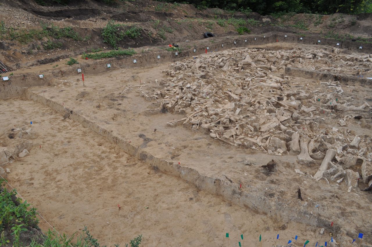 During the last ice age, humans arranged these bones in a circle.