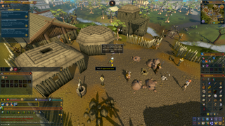 A screenshot of RuneScape.