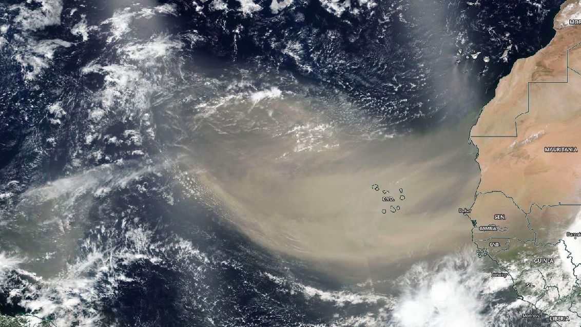 On June 18, 2020, NASA-NOAA&rsquo;s Suomi NPP satellite captured this visible image of the large light brown plume of Saharan dust over the North Atlantic Ocean.