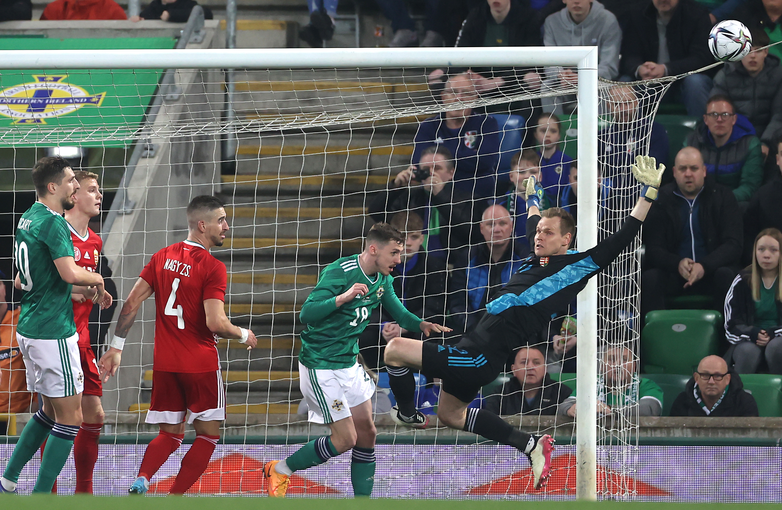 Denes Dibusz keeps Northern Ireland at bay