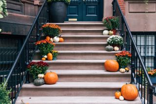 Steps leading up to a house decorated with pumpkins and fall-colored mums in pots