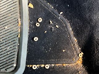 Crumbs on floor mat of car