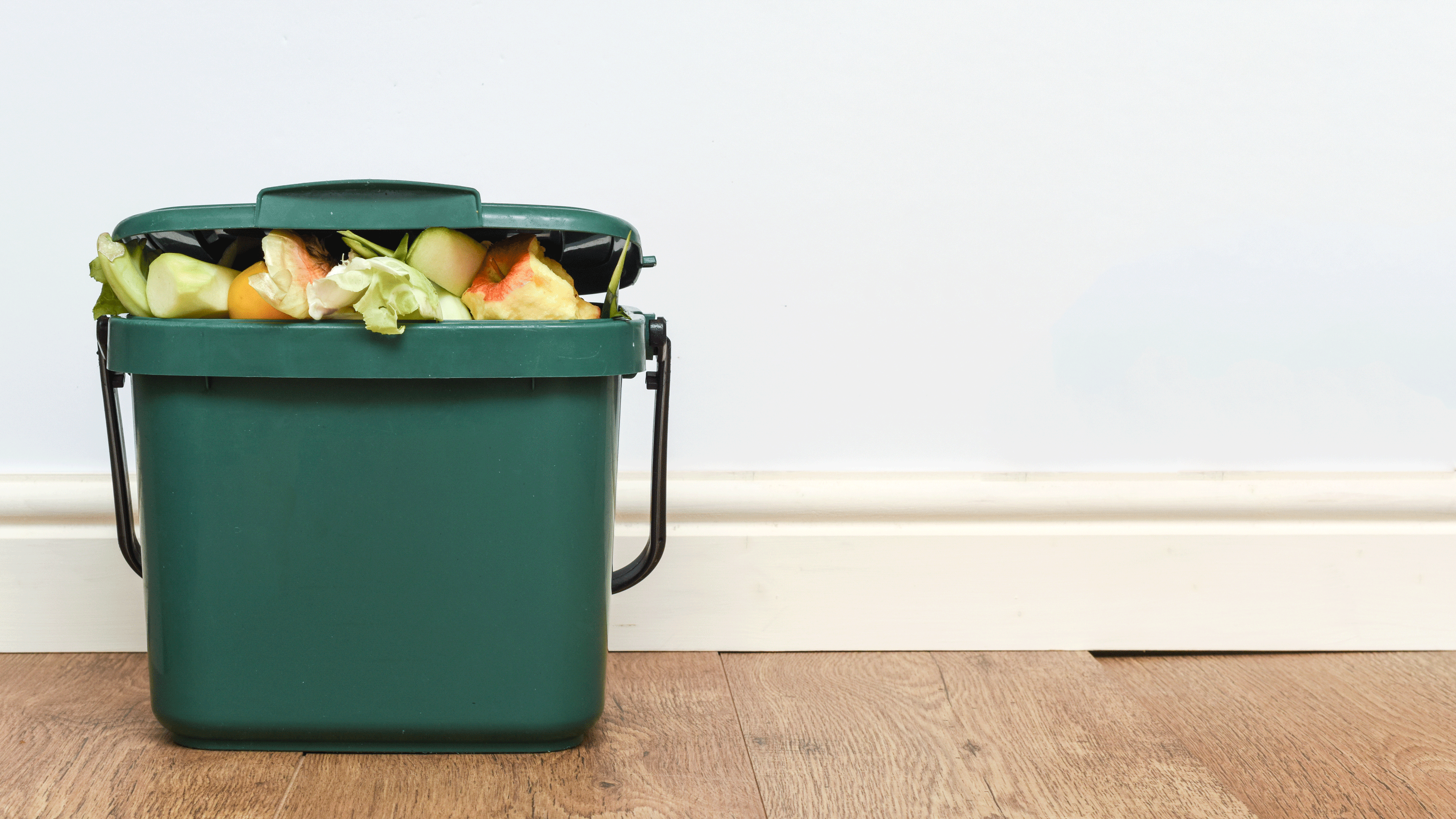 Green food waste bin on a floor
