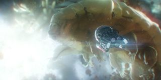 Ant-Man and The Wasp Quantum Realm