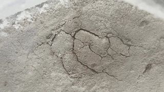 Spider-like cracks in sediment