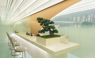 Interior design including a bonsai tree at Aoyama Lab dessert bar, Beijing, China, by Studio MVW