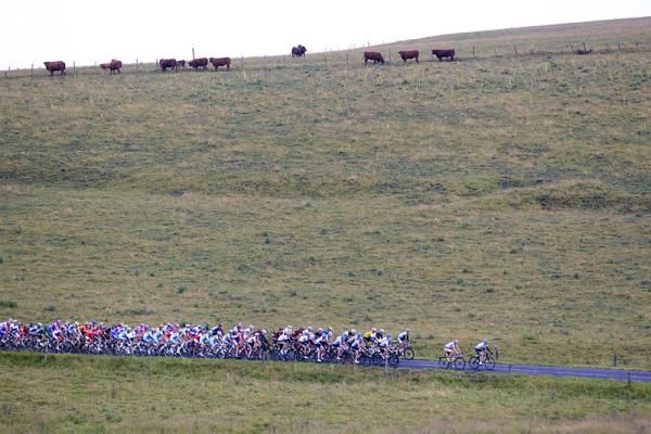 The Tour peloton rolls along during stage nine.