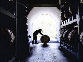 Kanosuke Distillery, barrel storage, square