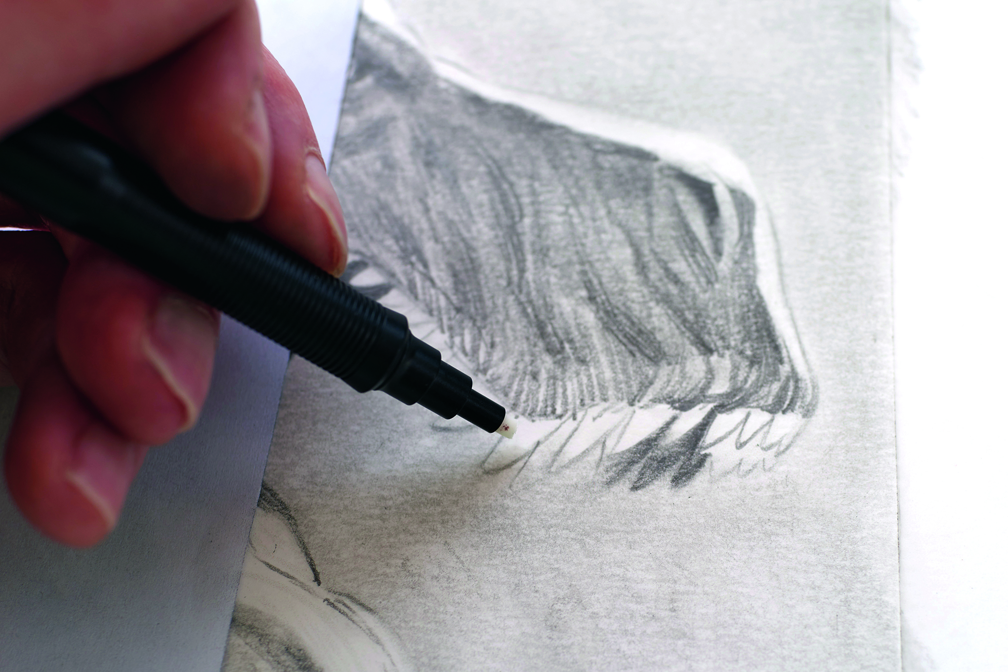 An image from a tutorial on how to draw a T-rex dinosaur