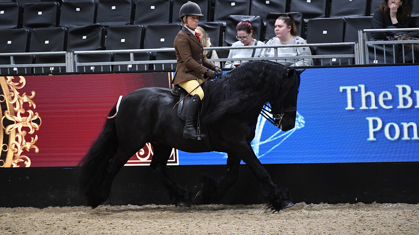 Nipna Midnight Rambler is the top Dales pony in the 2022 BSPS Heritage M&amp;amp;M supreme ridden final