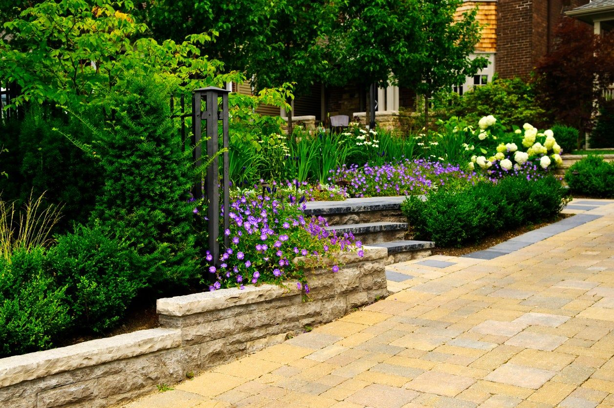 Walkway Lined With Plants And Flowers