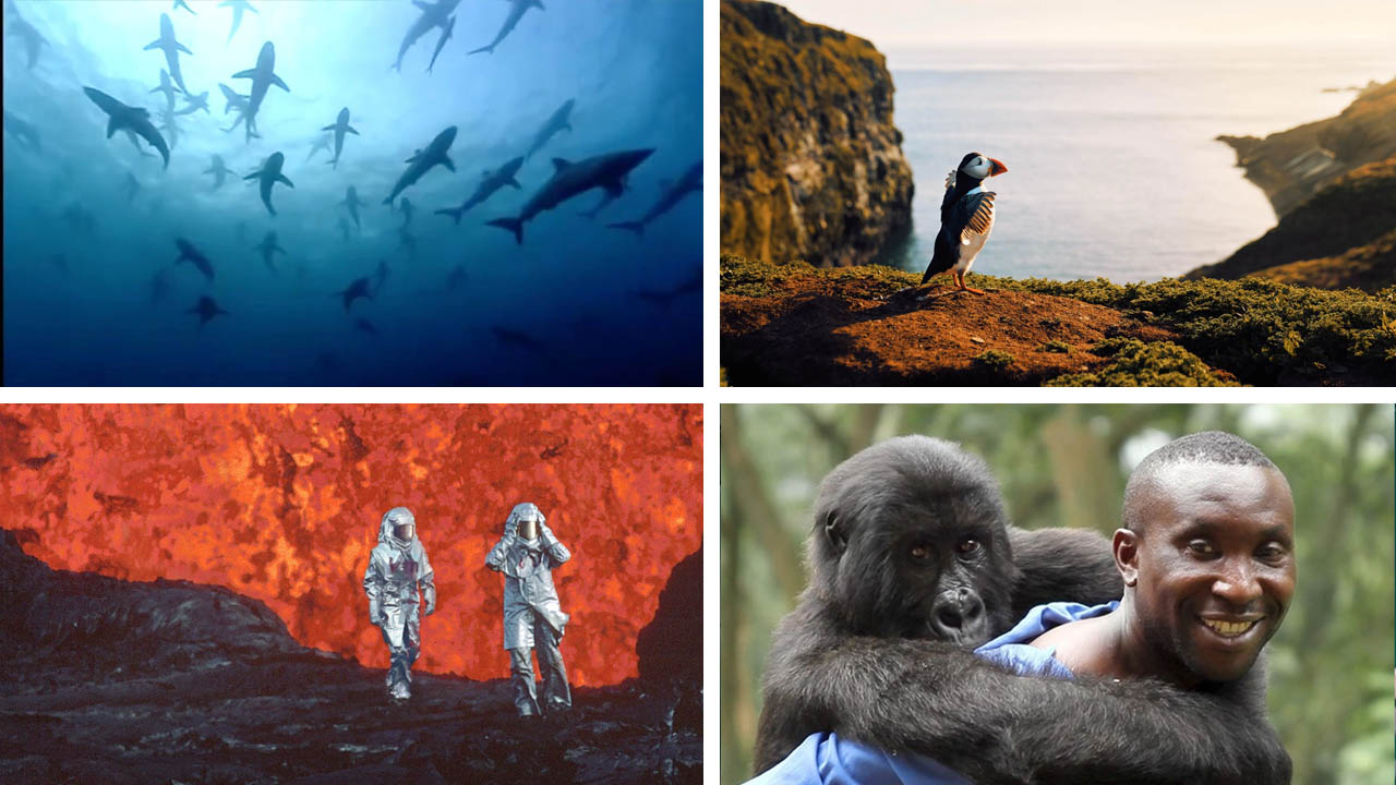 The best nature documentaries to watch on Earth Day 2023