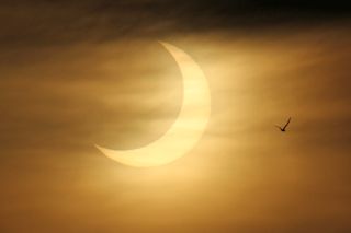 A seagull flies in front of the partially eclipse sun in this stunning photo from photographers Imelda Joson and Edwin Aguirre at Black Falcon Cruise Ship Terminal in Boston on June 10, 2021.