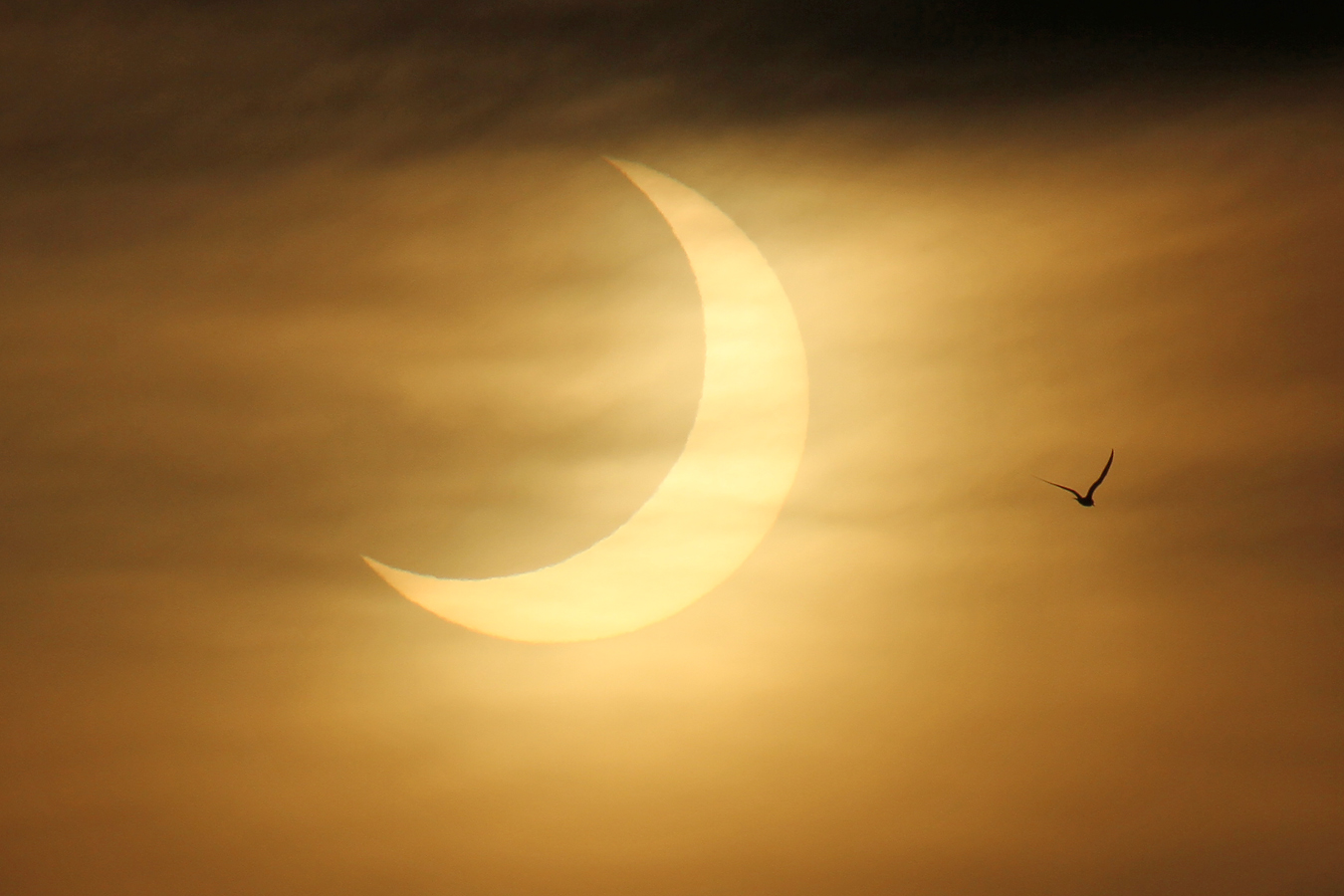 'Ring of fire' solar eclipse of 2021 thrills stargazers with sunrise ...