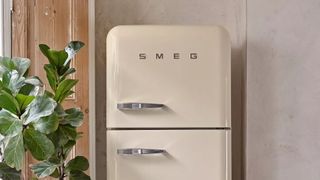 Smeg fridge