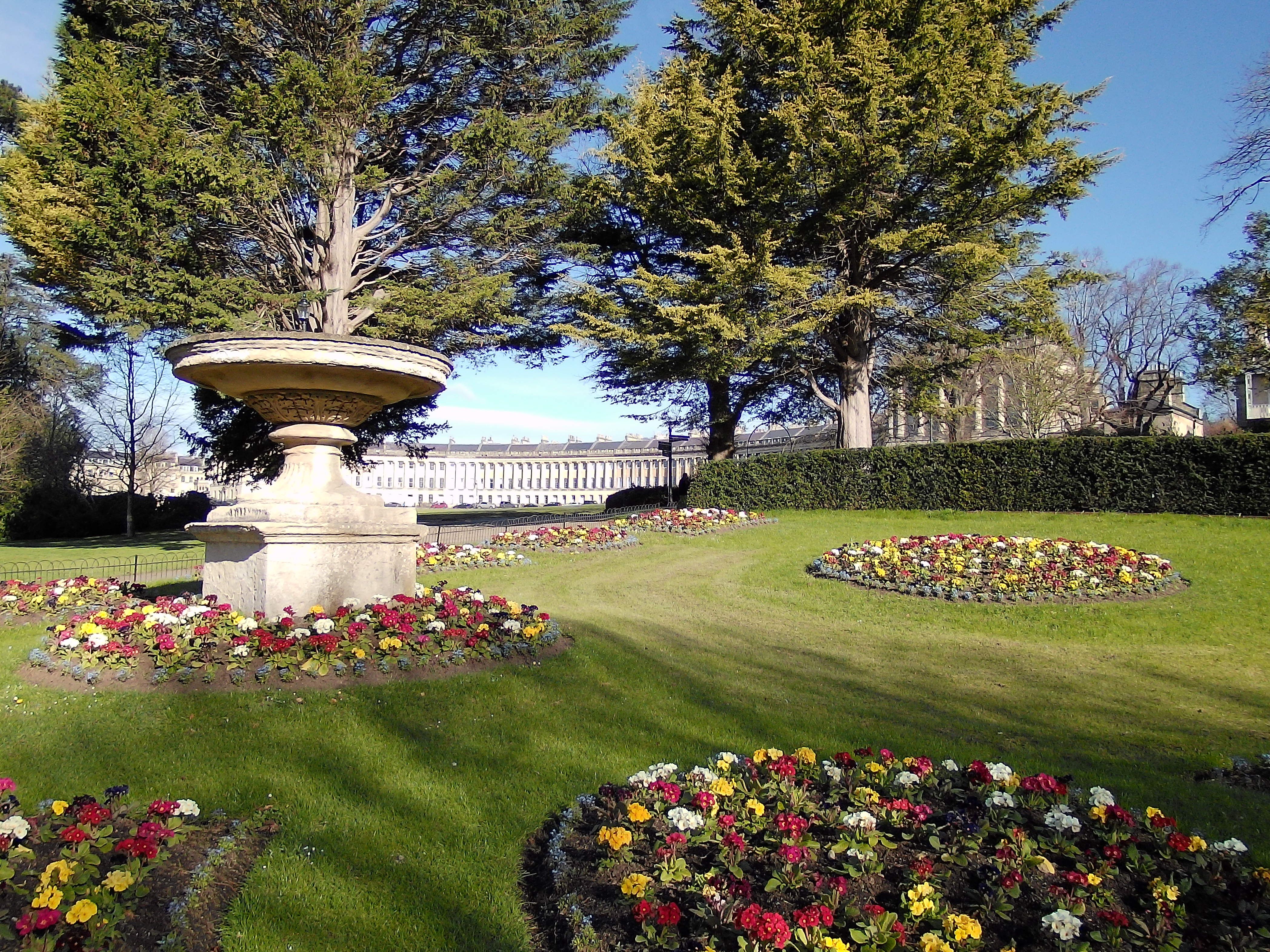 Yashica FX-D 100 sample image