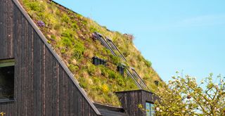 Black wooden clad house with a sloping green roof to support the shadescaping trend