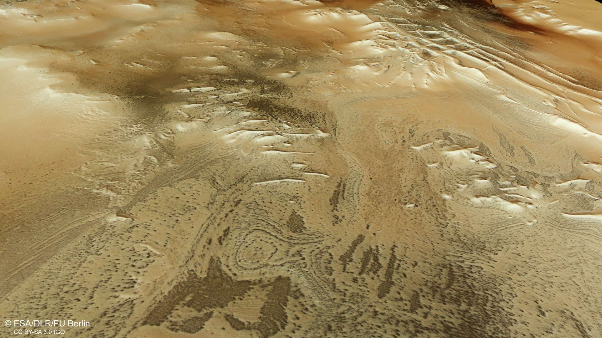 An image of Mars from above showing a linear network of ridges reminiscent of Inca ruins.