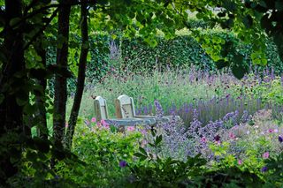 The garden at Scampston Hall. ©Val Corbett/Country Life Picture Library