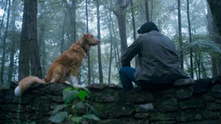 Indy the dog in Good Boy