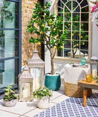 small patio with outdoor rug, mirror and lemon tree growing in a pot