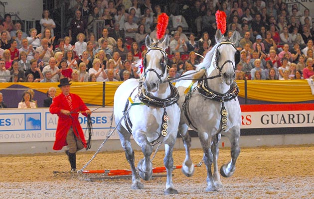 hoys_2099