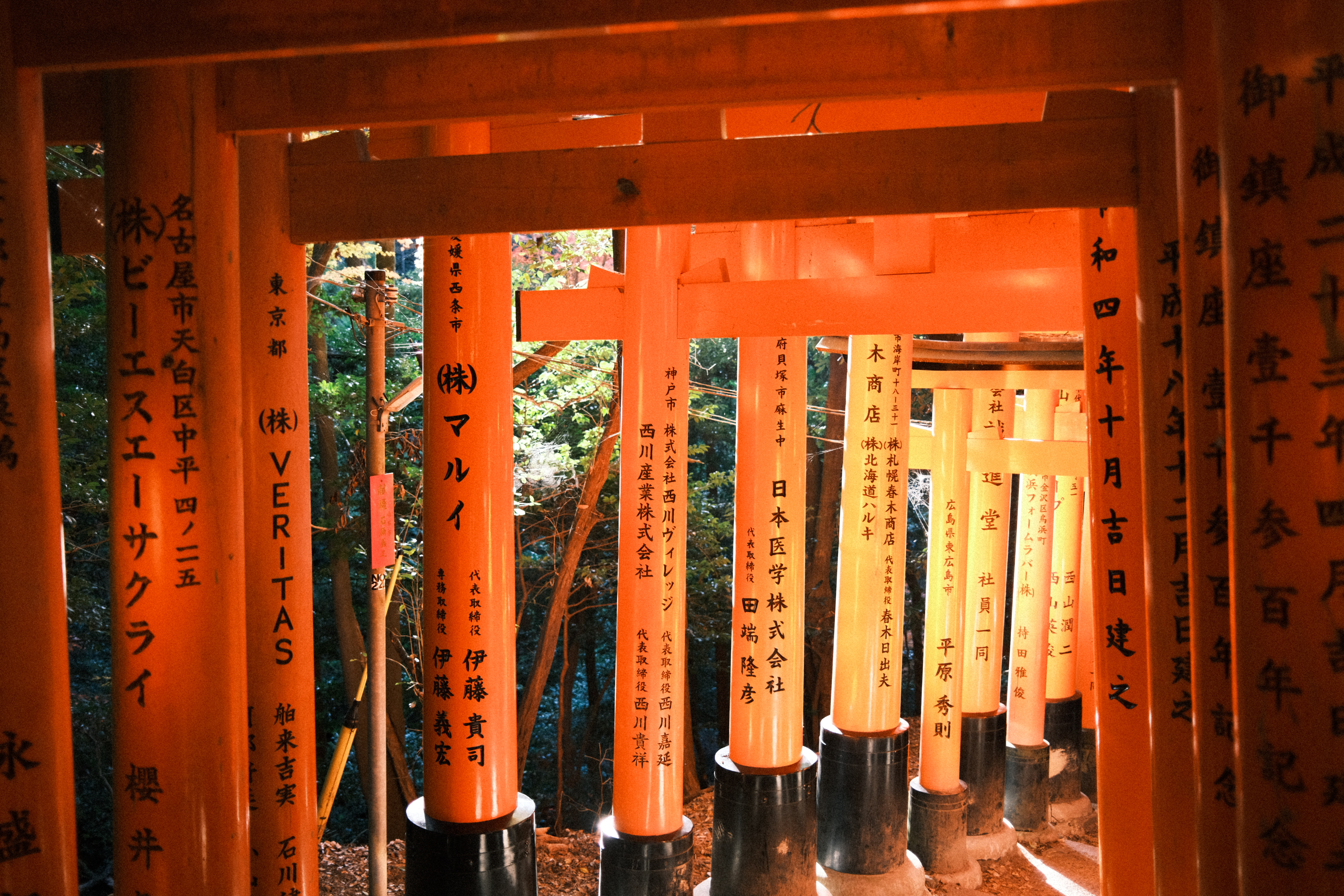 Fujifilm X100V photo