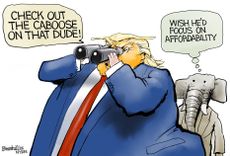 Political Cartoon