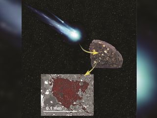 A tiny speck of comet-building material is wrapped in a rare meteorite found in Antarctica.