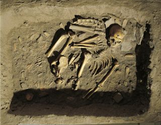 Reconstrução do sepultamento do Homem de Neandertal (Homo sapiens neanderthalensis) em La Chapelle-aux-Saints, França.