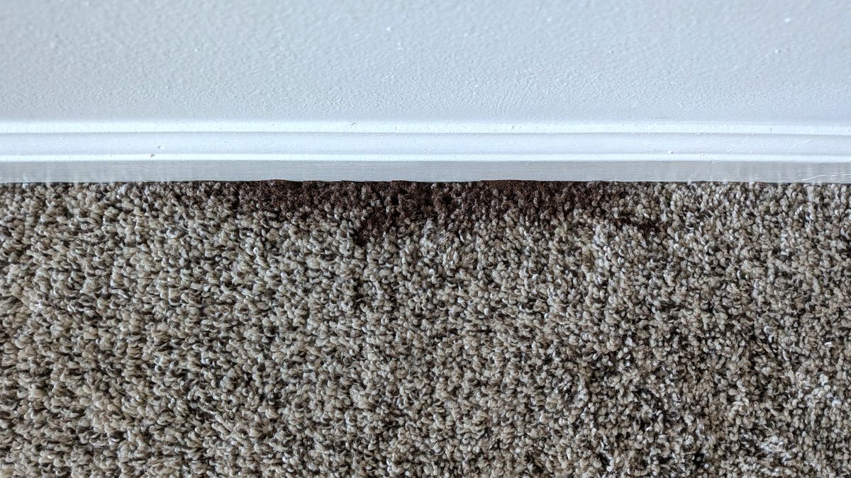 Coffee grounds on edge of carpet before testing with Shark PowerDetect Speed vacuum cleaner