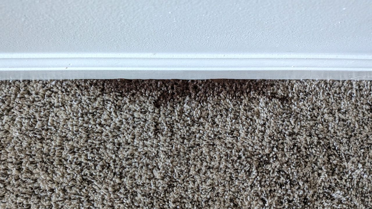 Coffee grounds on edge of carpet before testing with Shark PowerDetect Speed vacuum cleaner