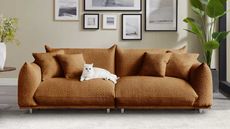 a wayfair boucle rust sofa
