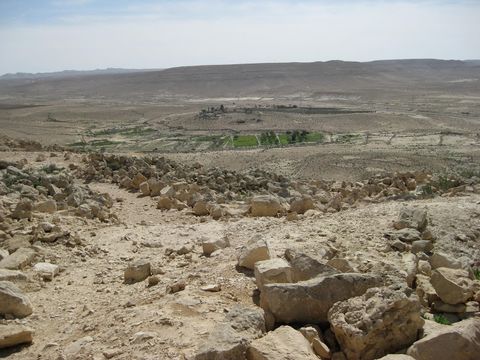 Holy Land Farming Began 5 000 Years Earlier Than Thought Live Science