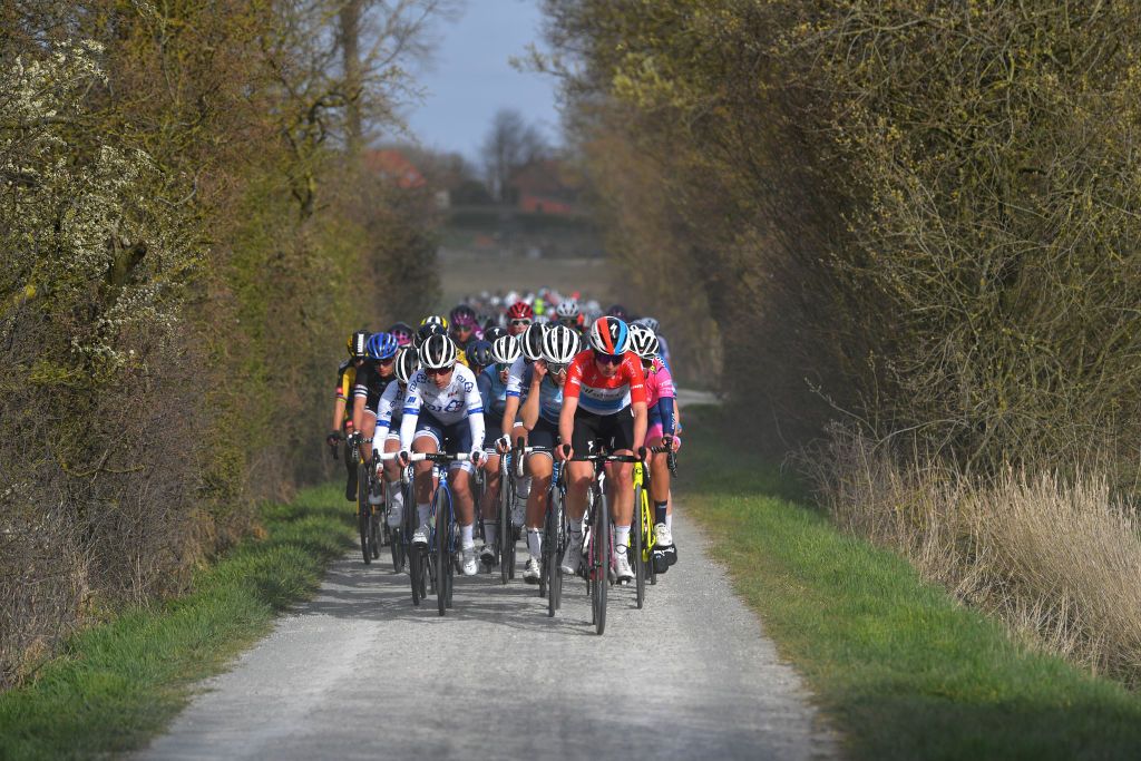 WEVELGEM BELGIUM MARCH 28 Elisabeth DeignanArmitstead of United Kingdom and Team Trek Segafredo Christine Majerus of Luxembourg and Team SD Worx The peloton during the 10th GentWevelgem In Flanders Fields 2021 Womens Elite a 1417km race from Ypres to Wevelgem Dust GWE21 GWEWomen FlandersClassic UCIWWT on March 28 2021 in Wevelgem Belgium Photo by Luc ClaessenGetty Images