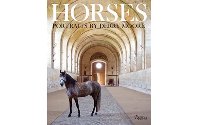 horses-portraits