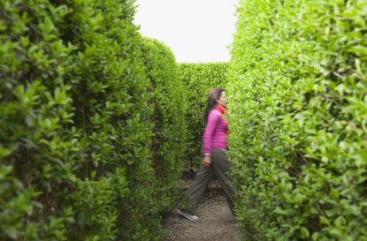 Hispanic woman walking in hedge maze